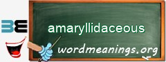WordMeaning blackboard for amaryllidaceous